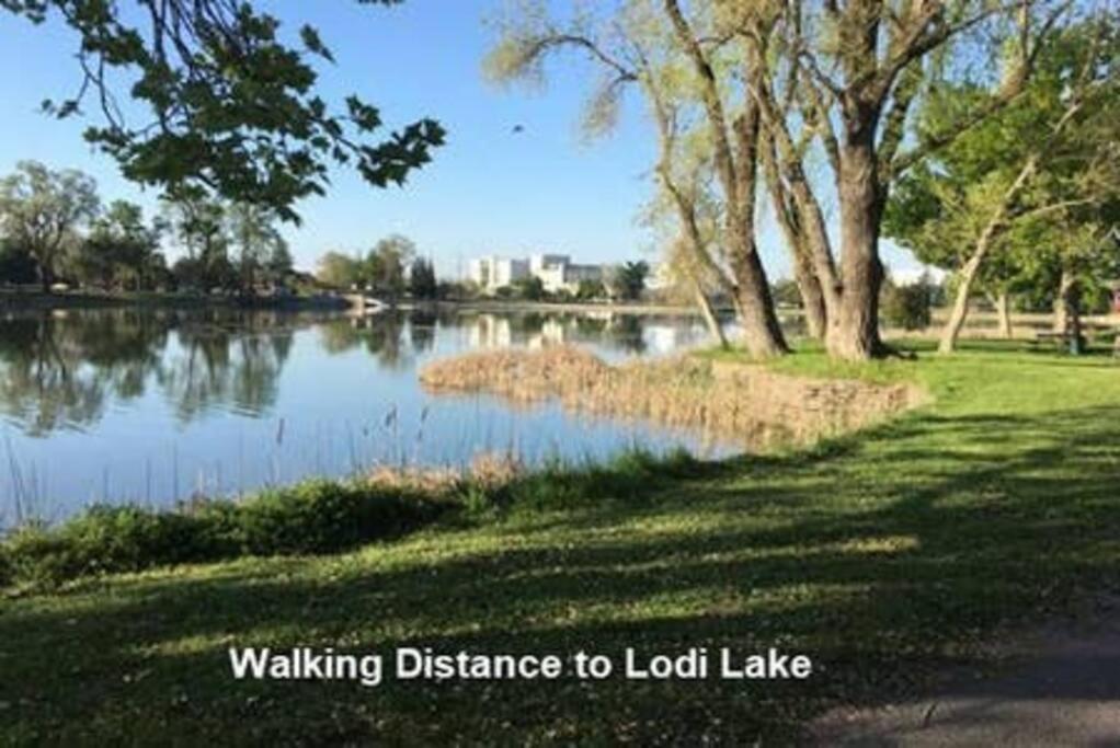 Robert St Cottage, Near Lodi Lake Luaran gambar